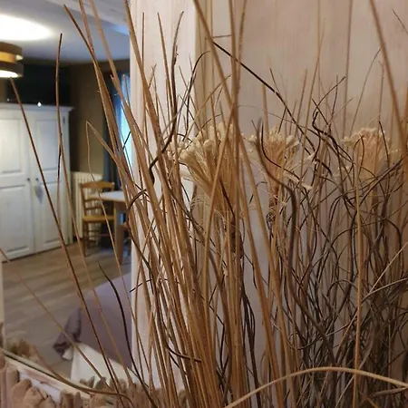 Le Patio De Luchon 3*